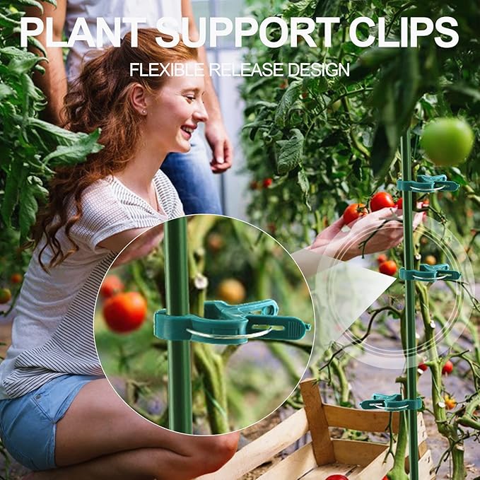 30 Pcs trumpet 1 inch Plant Support Clips,Flower and Vine,Garden Tomato Plant Support Clips for Supporting Stems,Vines Grow Upright Climbing,Tool for Straightening,Tomato Cage,Trellis.