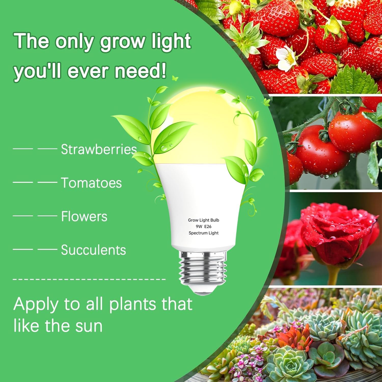 3 Pack Full Spectrum Grow Light Bulbs,A19 Grow Lights for Indoor Plants,Dimmable E26 9W Grow Bulb Replace up to 100W,Plant Lights for Indoor Growing,Flowers,Greenhouse,Indore