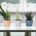 KIMCHOMERSE Self Watering Plant Pots, 4.7 Inch Plant Pots 6-Pack Indoor Planter Pots with Drainage Holes and Tray for Home Decor（2White, 2Pink, 2Blue）