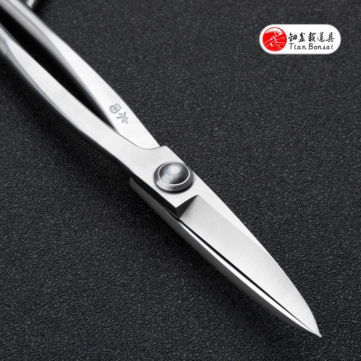 Bonsai Scissors Professional Grade Bonsai Shears Alloy Steel Bonsai Tools Equip With Tool Bag (MT-LBS-210)