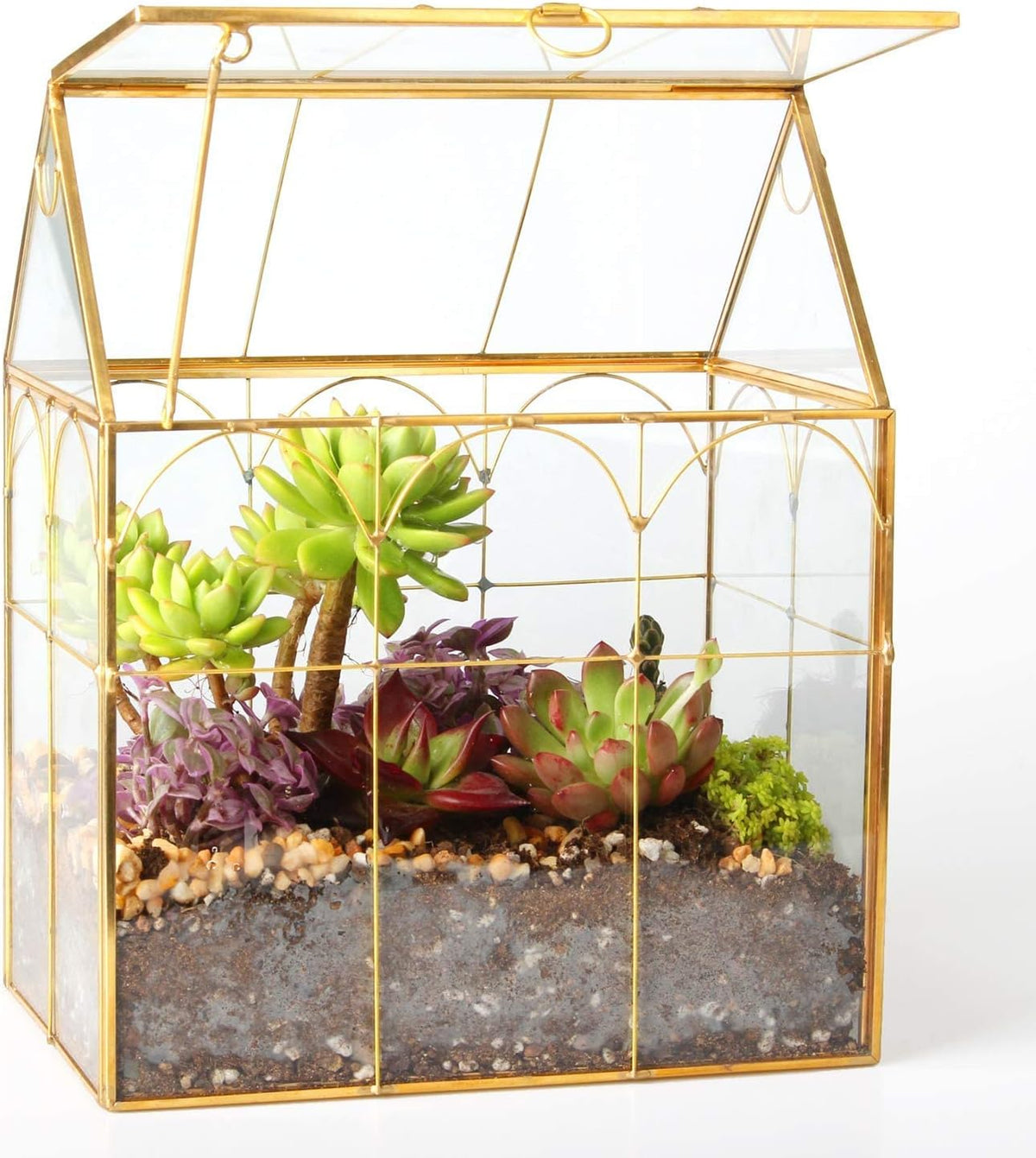 glass geometric plant terrarium,succulent & air planter for shown in use