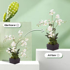 Invisible Orchid Sticks 17 inch &11 inch SupKing 16Pcs Plant Stakes with Clips for Support Small Short Plants,Garden Stakes Support Poles Suit for Potted Plants Flowers Peony Rose (Brown)