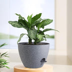 12 inch Large Self Watering Pots, Plant Pots with Mesh Drainage Holes for Indoor Outdoor Plants, Plastic Planters with Deep Reservoir for Garden House Flower Plants, Speckled Grey