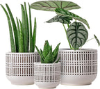 Docrin 3-Pack Ceramic Planters Set - 6.5"+5.3"+4" Dual-Tone Flower Pots with Drainage Holes, Modern Indoor Outdoor Planters for Succulents/Herbs/Large Plants, Home Office (Brownish Black & White)