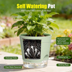 Plant Pots 4 Inch Self Watering Pots,6 Pack Plastic Planters with Drainage Holes and Clear Saucers,Plastic Flower Pots,Nursery Planting Pot for Indoor Out Door Plants (Green)