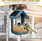 Perch Extender for Bird Buddy, Gold Metal Accessories for Bird Buddy, Custom-Fit Extended Perch with Screws and Washers, Durable Weather-Resistant Add-On for Bird Watching