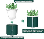 D'vine Dev 4 Inch Design Self Watering Planter for Indoor Plants, White Terracotta Pot with Teal Cylinder Glass Cup, Set of 3,37-Z-A-5-T