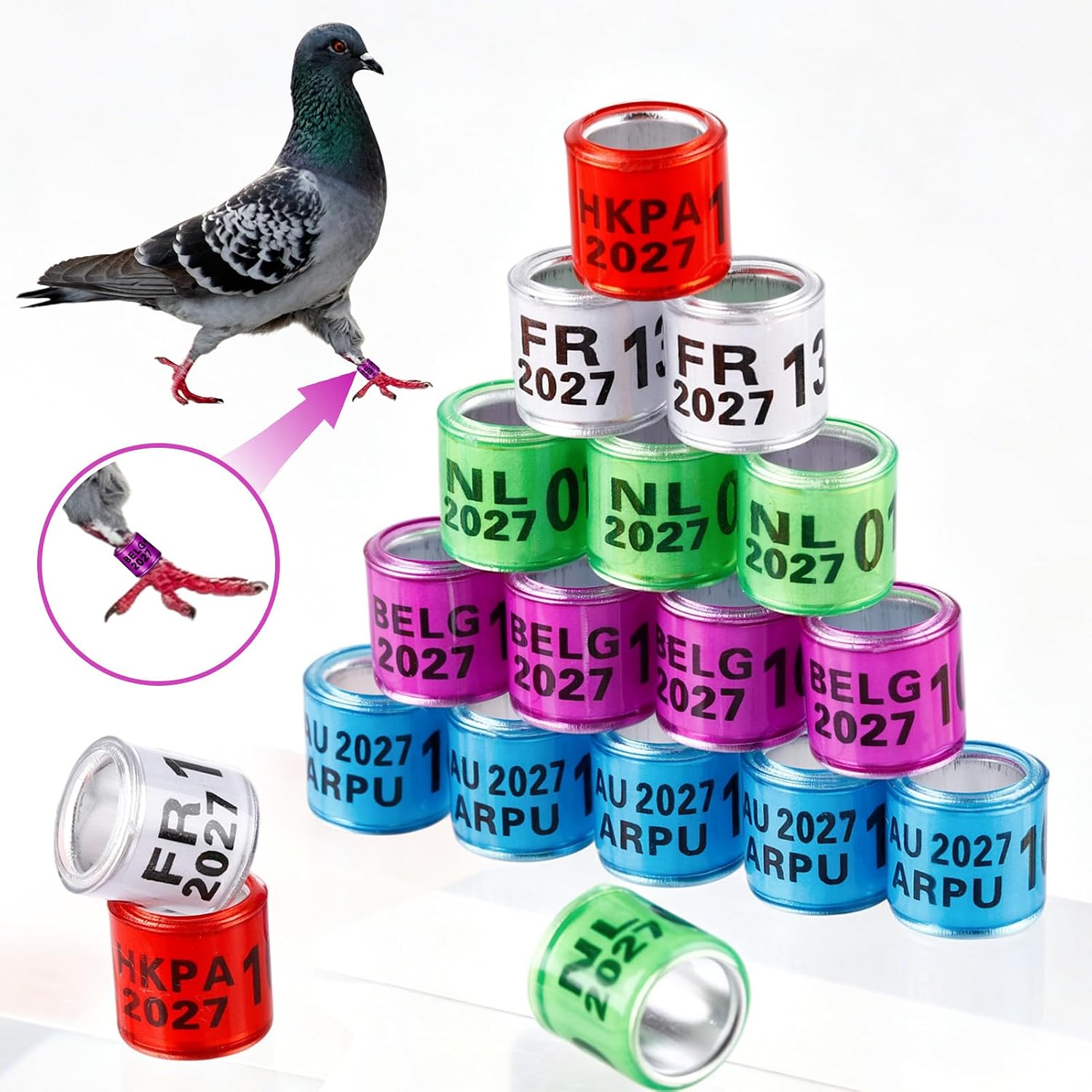 100Pcs Multicolor Aluminium Pigeon Leg Rings Dove Leg Rings Identify Pigeon BandsPlastic with 2027 Training Identify Birds Foot Ring (Multicolor)