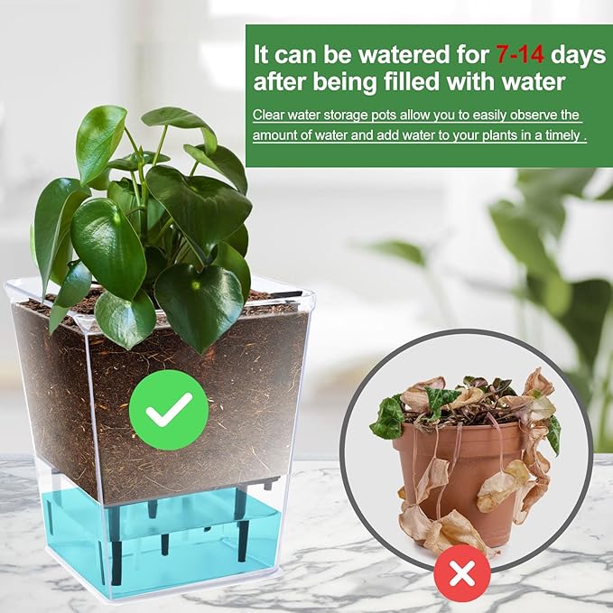 Self Watering Pots Set, 3 Pack 2.7 Inch Pots for Indoor Plants, Clear Nursery Planter with Deep Reservoir for Succulents, Seedlings, Small Plants