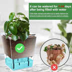 Self Watering Pots Set, 3 Pack 5 Inch for Indoor Plants, Clear Nursery Planter With Deep Reservoir for Spider Plant, Orchid, African Violet