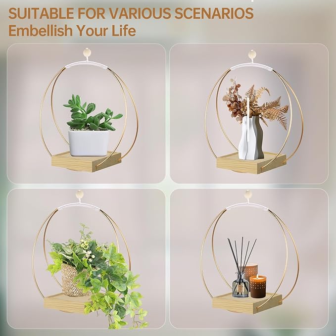 Hanging Planters for Indoor Plants - Plant Hanger Outdoor, Metal Plant Hanger Mid Century Boho Macrame, Hanging Wall Ceiling Window, Gift for Mom, Plant Lovers, Housewarming