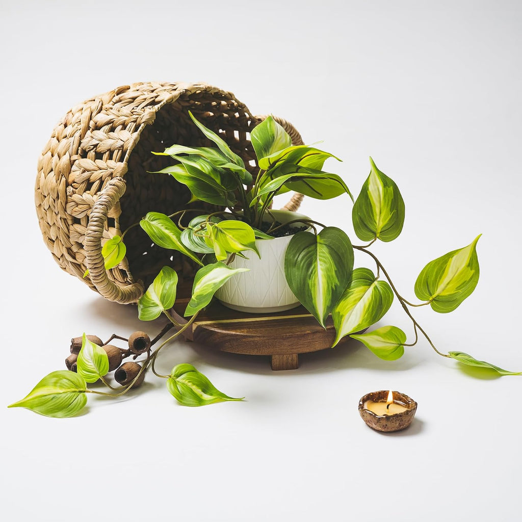 kurrajong farmhouse light green fake pothos plant |, package contents