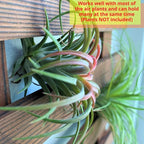 ShopLaLa Wall Planter - Hanging Wooden Wall Planter for Indoor Outdoor Plants, Vertical Garden, Plant Wall Mount Planter, Air Plant Succulent Holder for Flower Pot Display Hanger Frame 47.2" (120cm)