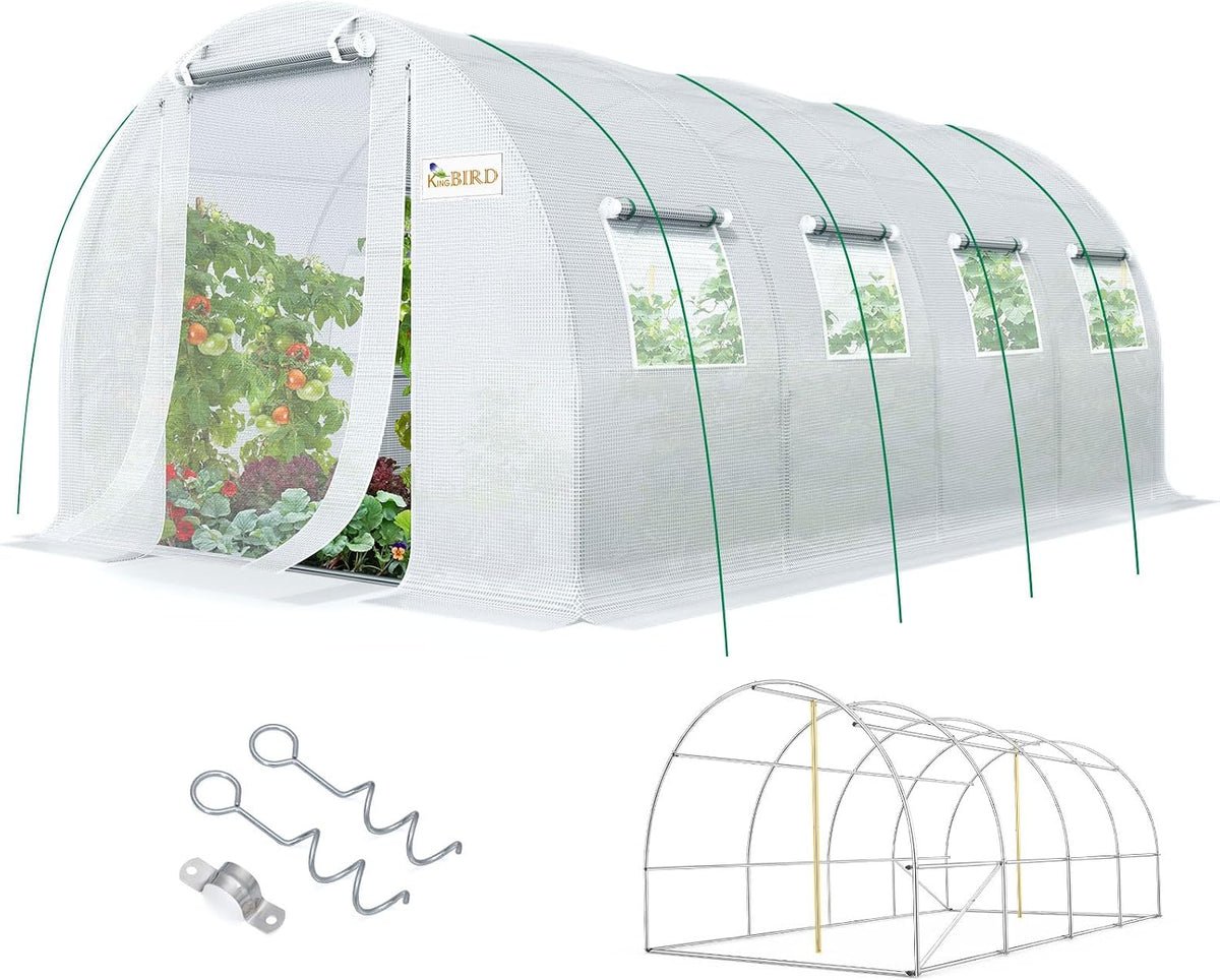 king bird premium 20x10x6.6ft greenhouse for outdoors large, main product view