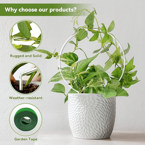 2 Pack Round Plant Trellis for Potted Plants Indoor Outdoor, Acrylic Small Trellis for Climbing Plants, Plant Support for Hoya Pothos Vine Ivy Monstera Flower Philodendrons Dischidia