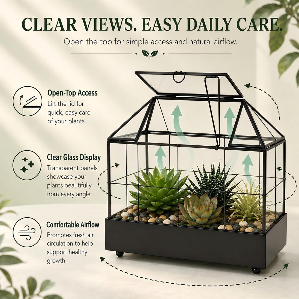 large tall plant terrarium glass – glass greenhouse, close-up detail