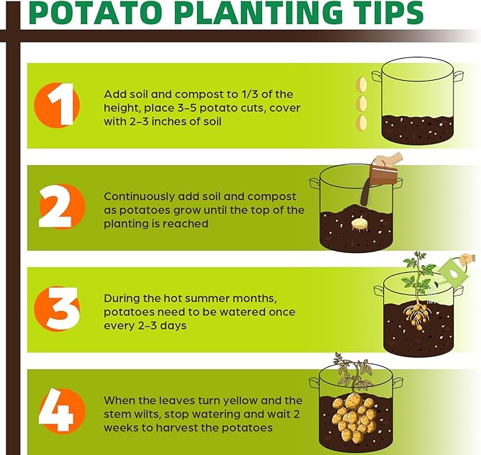 5 Pack 1 Gallon Grow Bags, Thickened Nonwoven Fabric Planter Pots with Handles, Heavy Duty 300G Garden Pots for Tomato, Potato and Vegetable