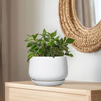 G EPGardening Ceramic Planter 9 Inch - Plant Pots with Drainage and Ceramic Saucer, Flower Pots for Indoor Plants, Modern Outdoor Planter, Living Room Decor, Gifts for Plant Lovers, White