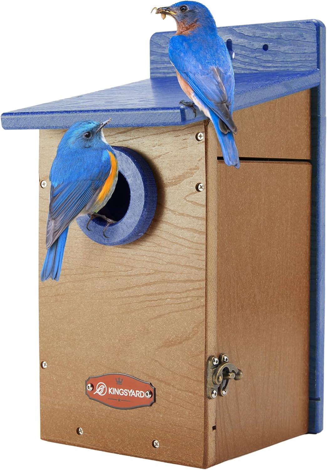 Kingyard Bluebird House, Outdoor Bird House with Predator Guard | Recycled poly lumber nesting box with a 1.5-inch entrance hole, clear viewing panel, bottom ventilation holes