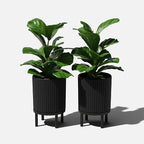 Veradek Demi Series Round Planter w/Stand for Porch/Patio | Durable Plastic-Stone Composite & Wooden Stand | Modern Décor for Tall Plants, Flowers
