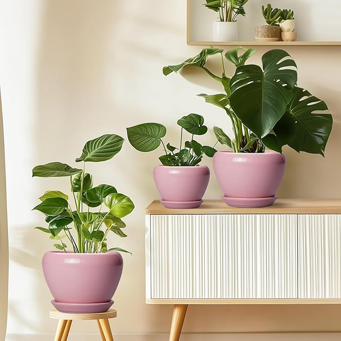 6 Inch Plant Pot - Ceramic Pot for Indoor Plants, Glaze Modern Decorative Round Ceramic Planter with Drainage Hole and Saucer, Plant Lover Gifts, Home Garden Room Office Decor, Pink