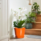 10 Inch Plant Pot - Ceramic Pots for Plants with Drainage Hole and Saucer, Round Planters for Indoor Outdoor Plants, Modern Decorative Planters, Room Home Decor, Gardening Gifts, Orange
