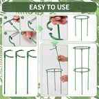 36 Pack Plant Support Stakes Sets - Versatile Plant Cages, Stackable Garden Flower Support， Small Plant Stakes for Indoor Plants,Tomato,Monstera, Peony, Hydrangea, Climbing Plants