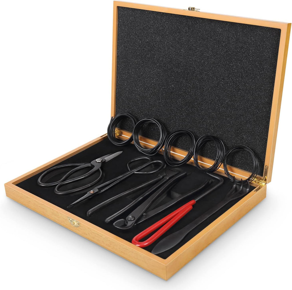 soligt 12-piece bonsai tools set with wood box, main product view