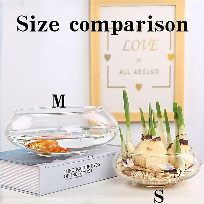 Glass Lotus Bowl Planter, 8 in Lotus Flower Bowl, Lotus Bowls for Planting in Water Indoors,Suitable for Succulent Plants and Aquatic Plant Bonsai Arrangements (M)