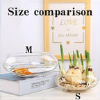Glass Lotus Bowl Planter, 8 in Lotus Flower Bowl, Lotus Bowls for Planting in Water Indoors,Suitable for Succulent Plants and Aquatic Plant Bonsai Arrangements (M)