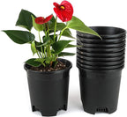 Wholesale Bulk Nursery Pot 5.5 Inch Black Plastic Planters 30-Pack 0.5 Gallon Pots for Outdoor Indoor Plants Gardening Flower with Drainage Holes