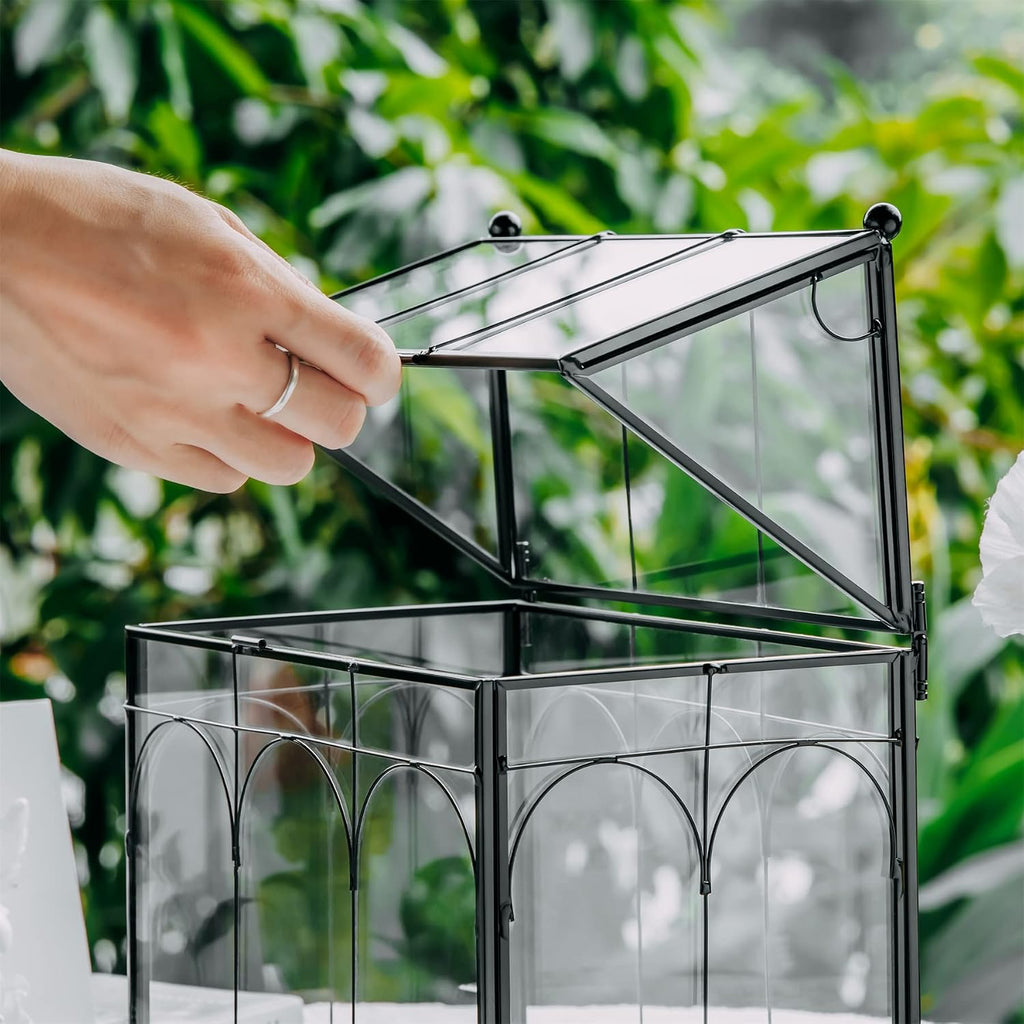 ncyp glass terrarium with lid for cacti, moss, side view