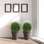 22''t artificial cedar topiary ball tree 2 pack, package contents