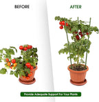 4 Pack Plant Support Tomato Cages for Garden, 24 Inches Tomato Cages and Supports with Adjustable Rings for Garden Pots, Plant Stakes Tomato Trellis Rings for Climbing Plants
