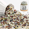 NUPICK 3 lbs Pebbles for Indoor Plants, 3/8 Inch Pea Gravel for Fish Tank | Polished Decorative Rocks for Succulent, Natural River Stones for Vases, Cactus, Landscaping, Bird Bath, Aquarium, Colorful