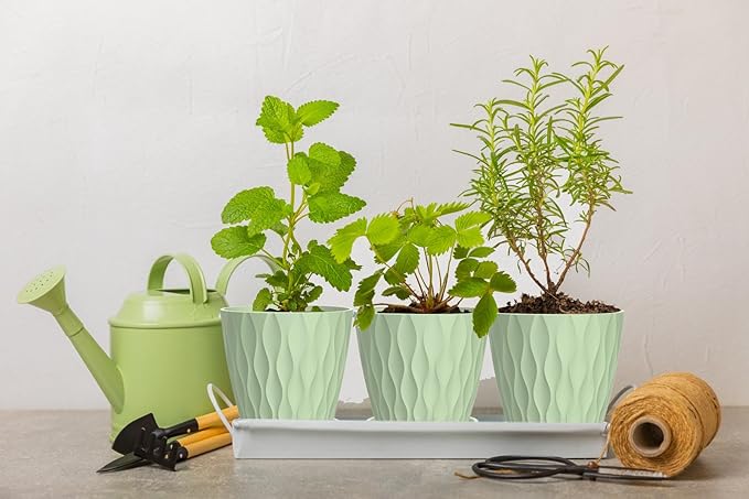 6 Inch Plant Pots, 6 Pack Indoor Flower Pots, Planters with Drainage Holes and Trays for Orchids, Violets, Succulents, Herbs, and Other Plants,Green