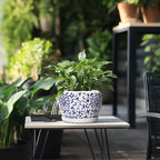 SQOWL Ceramic Pots for Plants - 8 inch Ceramic Planter with Drainage Hole and Saucer, Round Flower Pots for Indoor Plants, Porcelain Planter Outdoor, Porch Decor, Gifts for Women Men, Blue and White