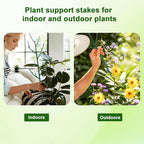 15 Pack Stackable Plant Support Stakes, Garden Trellis for Climbing Plants Indoor and Outdoor Use, Plant Accessories for Potted Plants Monstera, Plant Sticks for Climbing Plant Stems
