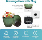 2 Pack Plant Pots for Indoor Outdoor Plants, 8 inch Plastic Flower Pots, Glazed Planter for Aloe, Herbs, Cactus (Green, 2pcs)