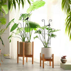 23in Plant Trellis Indoor, Trellis for Potted Plants with Bird, Garden Trellis Climber Support for Climbing Plants Pothos Hoya Vine