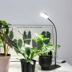 Desktop Plant Grow Light,12w Growing Lamps High Ppfd,Full Spectrum Desk Growth Light with Automatic Timer,4 Dimmable Levels（Black）
