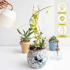 Indoor Plant Trellis for Potted Plants - Durable Metal Climbing Trellis with Unique DNA Spiral Design for Vining Plants, Easy Installation for Indoor & Outdoor Use