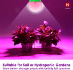 helloify A19 LED Plant Grow Light Bulb, 9W, Equivalent 100W, DIY Horticulture & Indoor Gardening, Growing Light for Indoor Plants, Flowers, Greenhouse, 2 Count, White and Red spectrum(Pink)