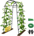 follook garden arch trellis for climbing plants outdoor, main product view