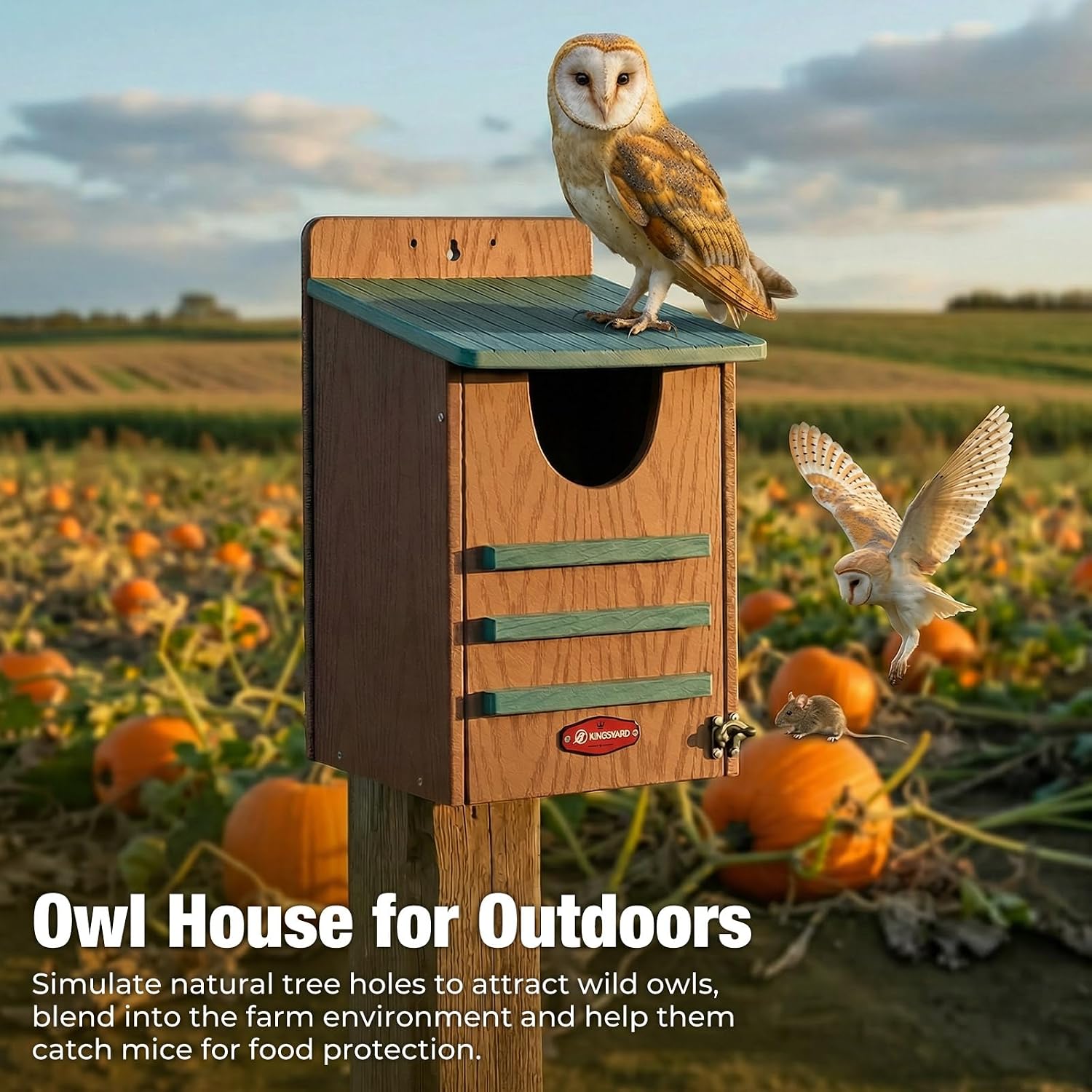 Kingsyard Large Recycled Plastic Wooden Owl House, Waterproof Screech Owl Bird Boxes for Outside, Owl Nesting Box Kit with Screws Ideal for Wildlife, Elf, Pygmy, Garden, Air Ventilation. Green