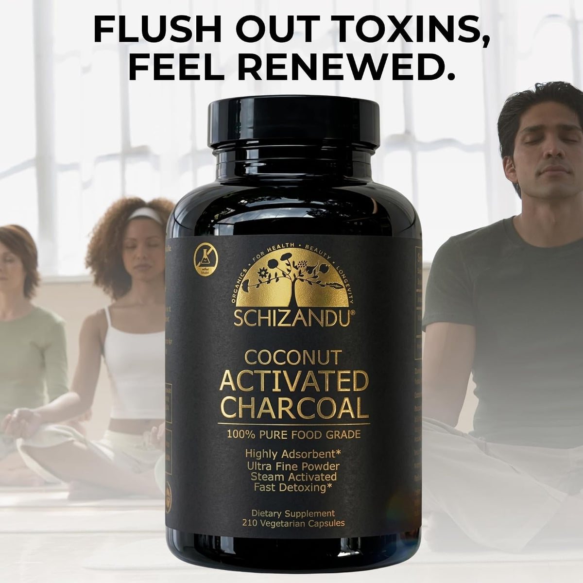 schizandu organic activated charcoal capsules, coconut shell, 210, package contents