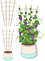 Natural Bamboo Trellis, 3Feet,3Pack,Fan-Shaped Plant Support Trellis for Outdoor and Indoor Potted Climbing Plants,Vegetables, Cucumber, Tomato, Hoya,