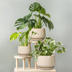 G EPGardening Ceramic Plant Pots - 9 Inch Round Planter, Ceramic Flower Pots with Drainage and Saucer, Modern Indoor Outdoor Planter, Room Decor, Home Gifts, Beige