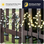 Solar Garden Lights Waterproof, Sola Lights Outdoor Decorative 4Pack,80Led Solar Powered Flowers Garden Decor,Fairy Lights for Yard,Pathway,Outside Decorations,Gardening Gifts for Women Mom
