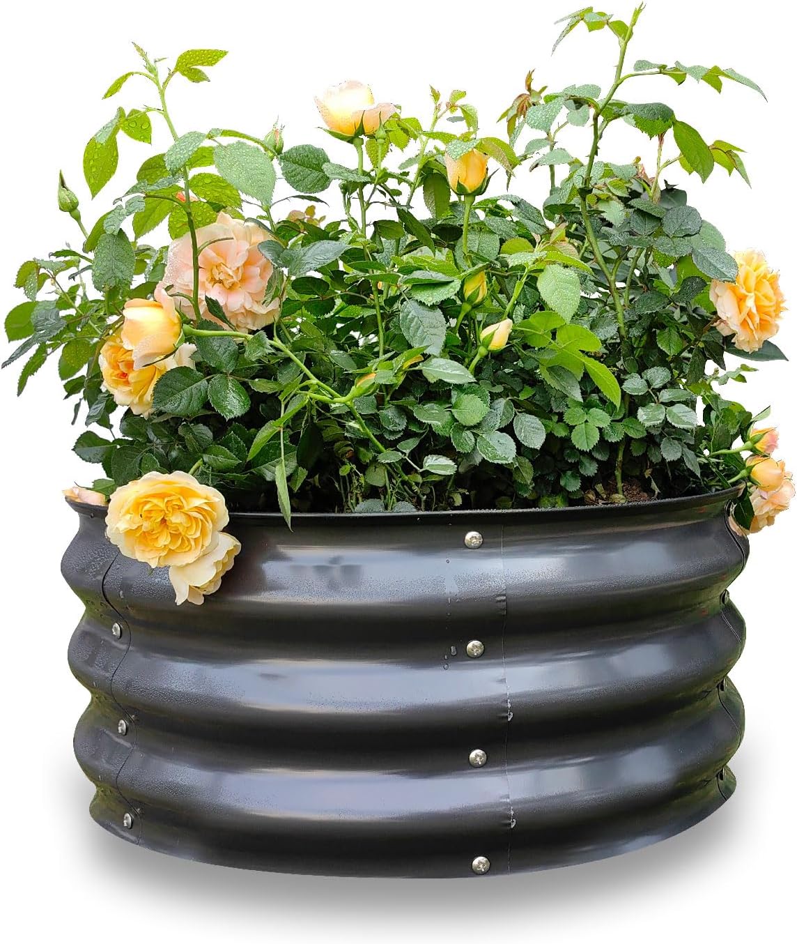 gardmax 2x2x1ft galvanized round raised garden bed kit, main product view